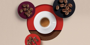 Illy Coffee Roast Types