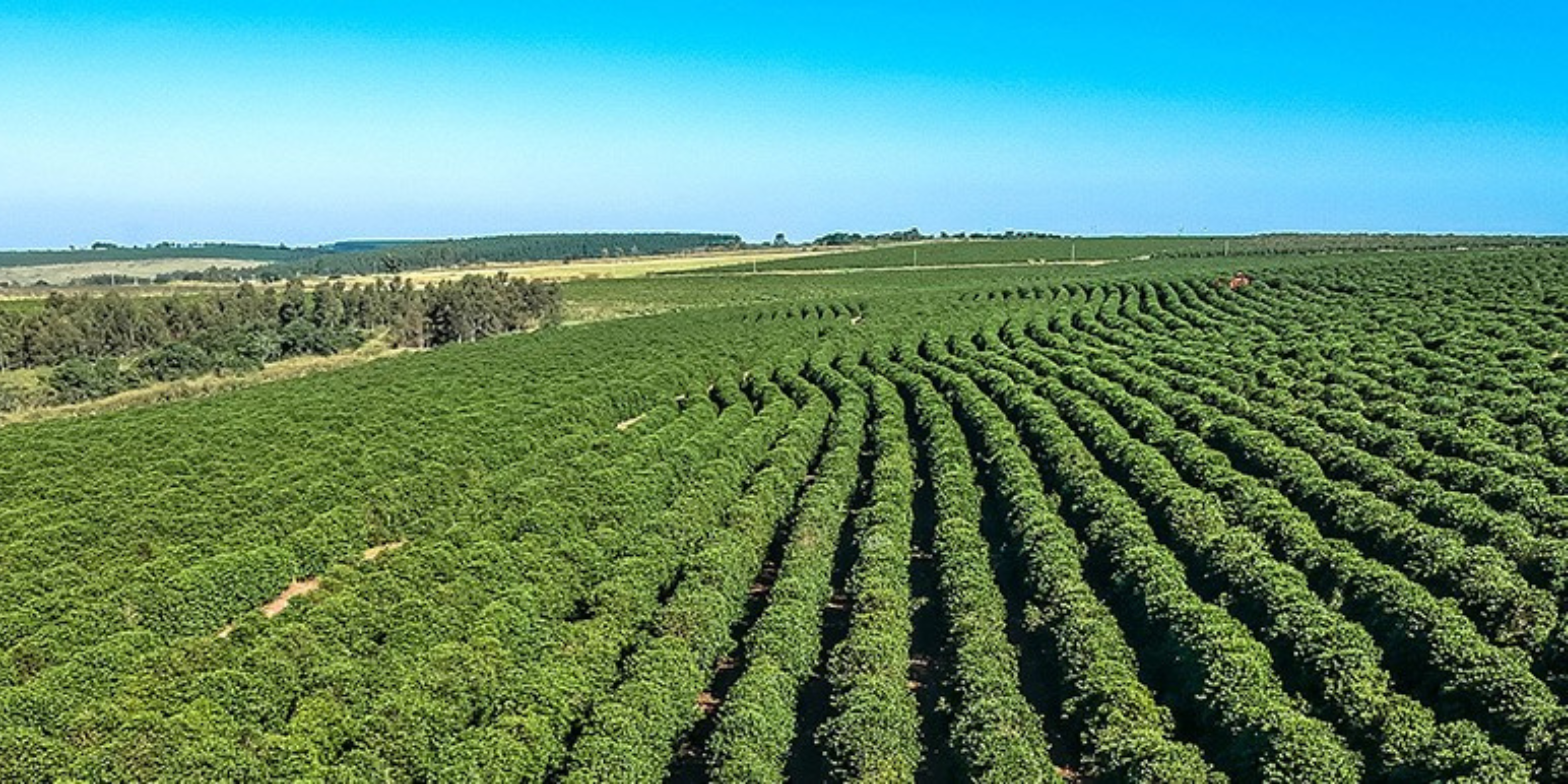 illy illy coffee illy Caffè Coffee Machine Coffee Machine Malaysia illy Caffè Hartamas